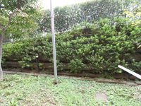 バルコニー バルコニー