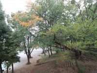 バルコニー バルコニー