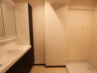 洗面脱衣室 洗面脱衣室